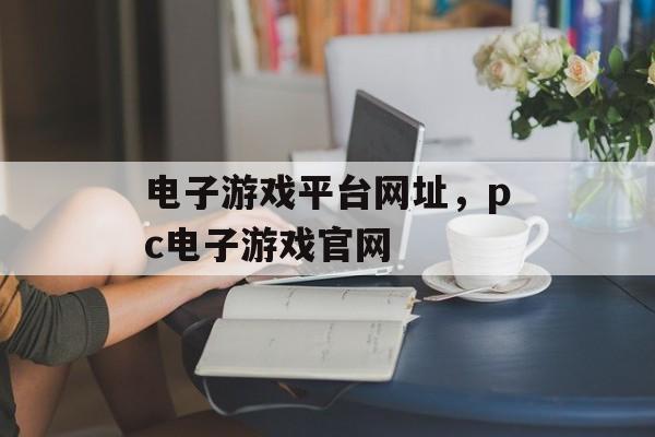 电子游戏平台网址，pc电子游戏官网